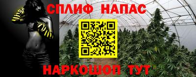 каннабис Гусев