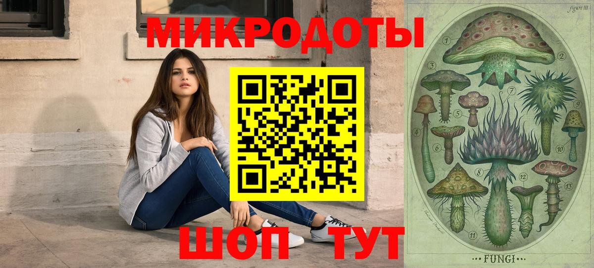 Галлюциногенные грибы Cubensis Новозыбков