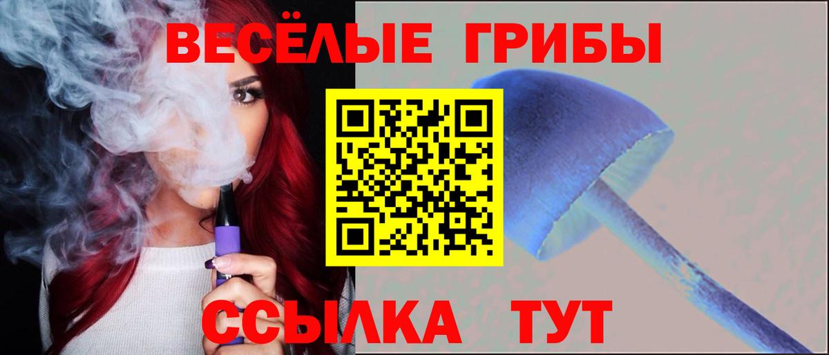 Галлюциногенные грибы Psilocybe  Псилоцибиновые грибы MAGIC MUSHROOMS  Новозыбков  Вход с VPN 